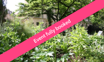 Guided tour of the Medicinal Plant Garden at the Royal College of Physicians